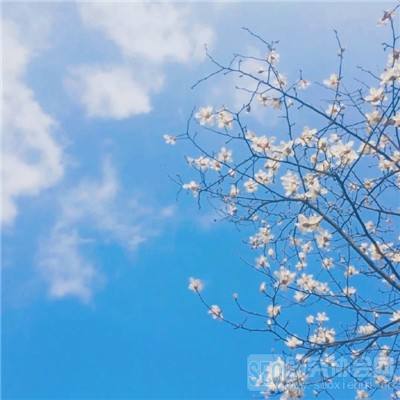 极品仙侠吉米版下载