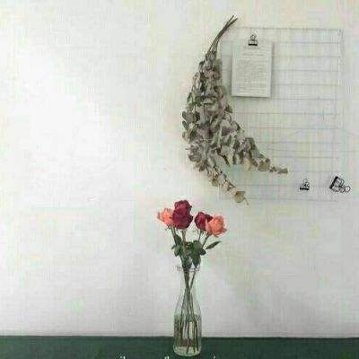 封神再临捉妖录手游下载